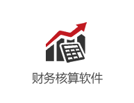 財(cái)務(wù)核算軟件